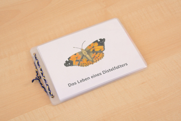 Download-Paket: Heimische Schmetterlinge