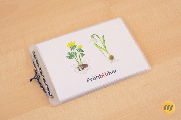 leseheft_freuehblueher_titel_silb