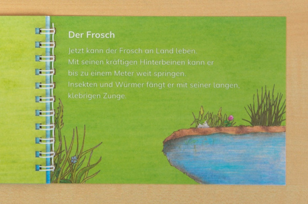 leseheft_frosch_druckerei3
