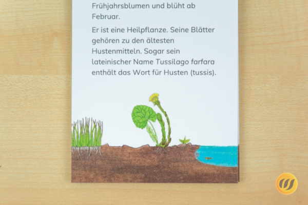 leseheft_fruehblueher_gebunden2