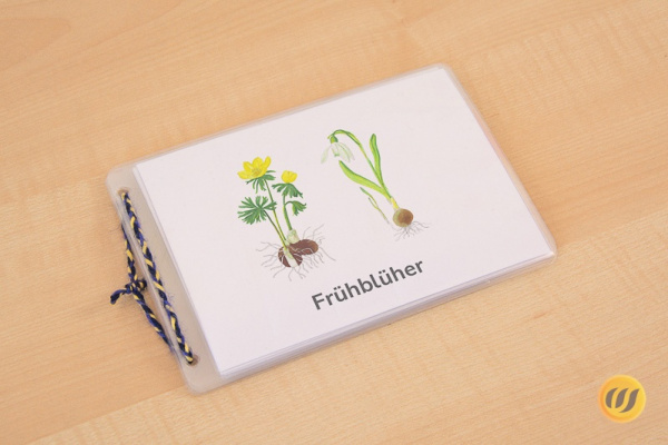 leseheft_fruehblueher_titel_deu