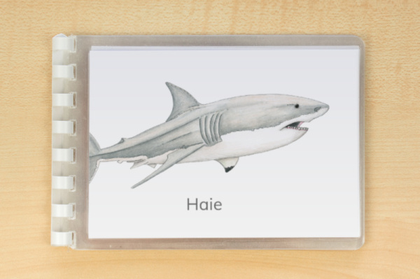Download-Paket: Haie
