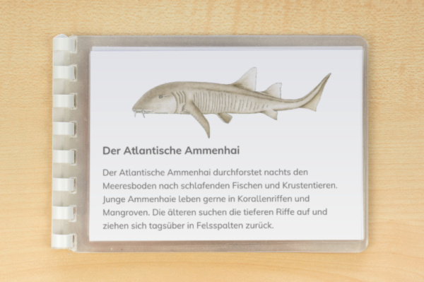 leseheft_haie_download_2