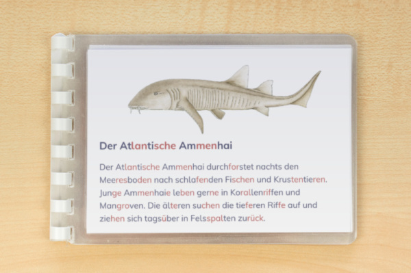 leseheft_haie_silben_2
