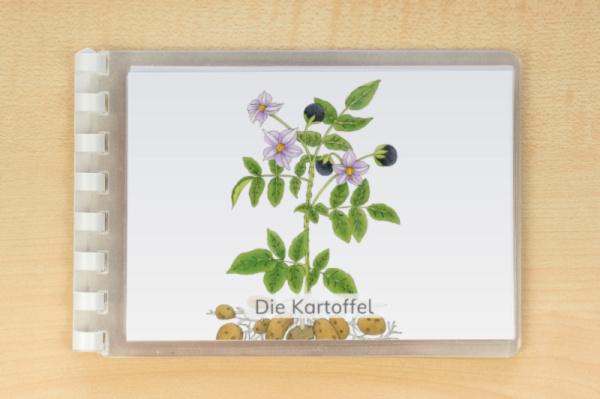 (Deutsch - Druckschrift - Download)