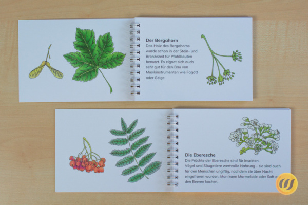 leseheft_laub_druck_v2_3
