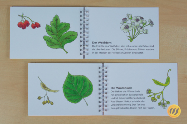 leseheft_laub_druck_v2_5