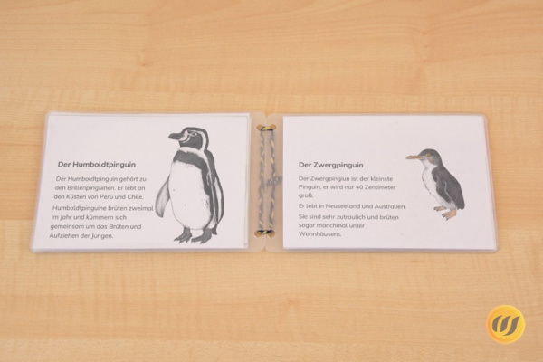 leseheft_pinguine_down3