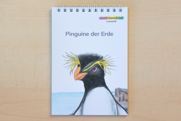 (Profidruck mit Spiralbindung - Druckschrift)