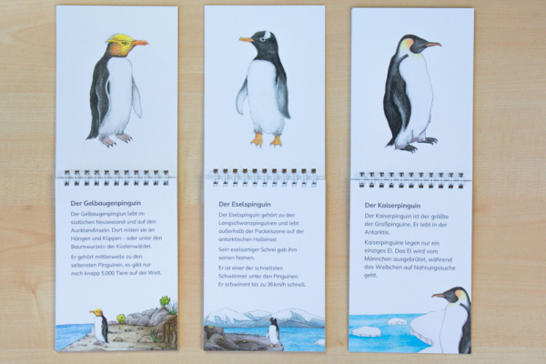 leseheft_pinguine_neu2