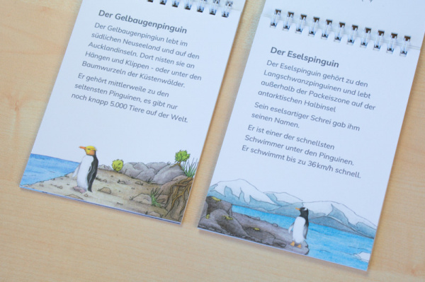 leseheft_pinguine_neu3