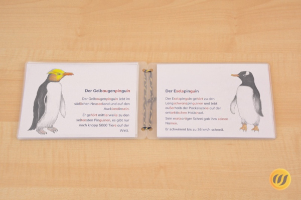 leseheft_pinguine_silben2
