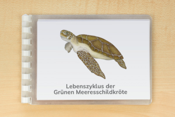 (Deutsch - Druckschrift -  Download)