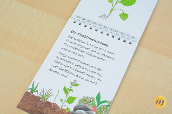 Paket Frühlingslesehefte  - illustriert