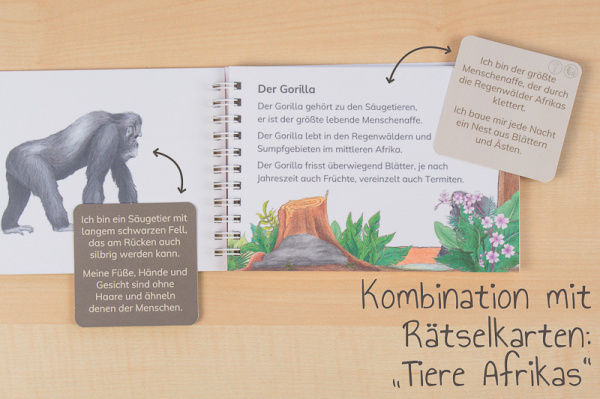 lh_afrika_tiere_kombi