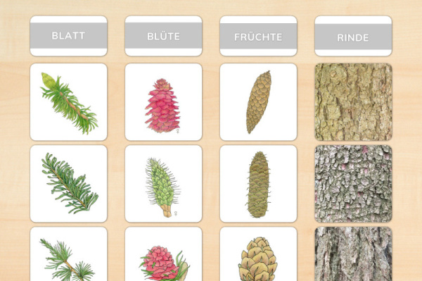nadelwerkstatt_download_1