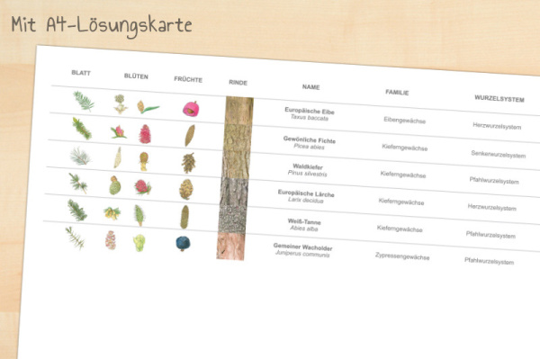 nadelwerkstatt_download_5