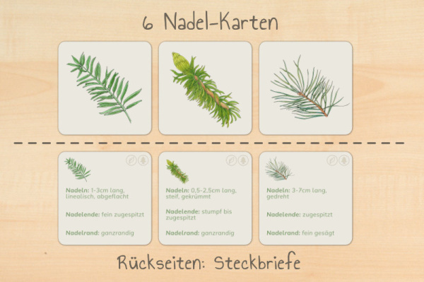 nadelwerkstatt_druck4