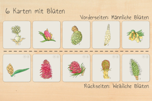 nadelwerkstatt_druck5