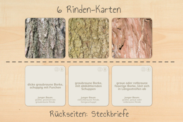nadelwerkstatt_druck7