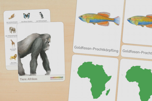 Download-Paket: Tiere Afrikas