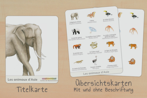 nomen_asien_tiere_franzoesisch_titel_2