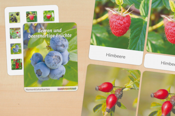 (Deutsch - Profidruck)