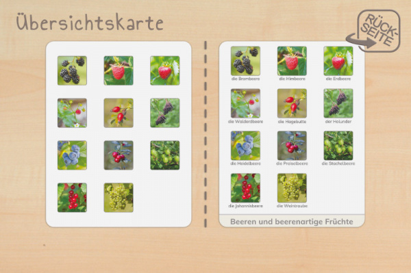 (Deutsch - Profidruck)
