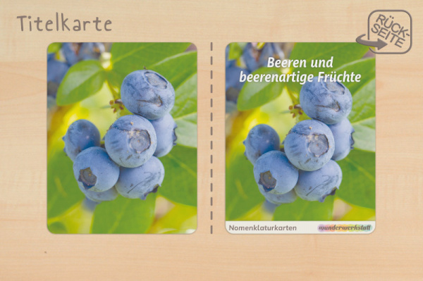 (Deutsch - Profidruck)
