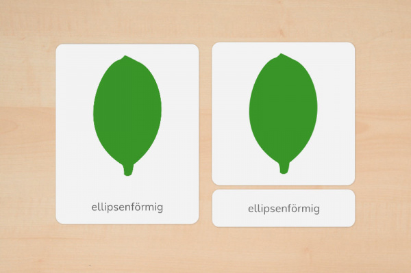 nomen_blattformen_download_2