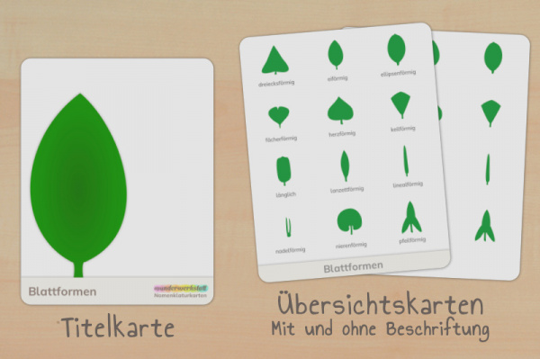 nomen_blattformen_download_titel_2