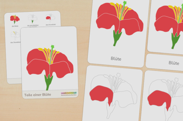 (Deutsch - Druckschrift - Download)