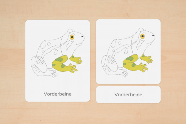(Deutsch - Druckschrift - Download)