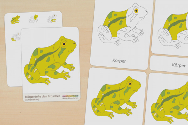 (Deutsch - Druckschrift - Download)