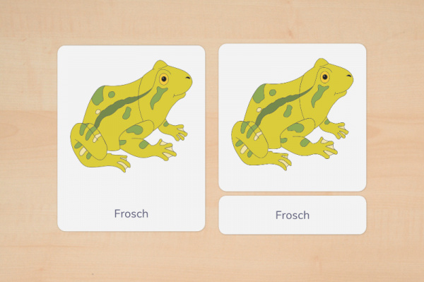 nomen_frosch_silben_1