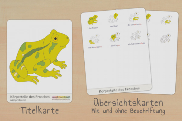 nomen_frosch_silben_titel_2