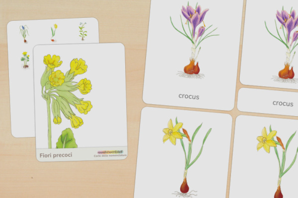 nomen_fruehblueher_italienisch_titel_1