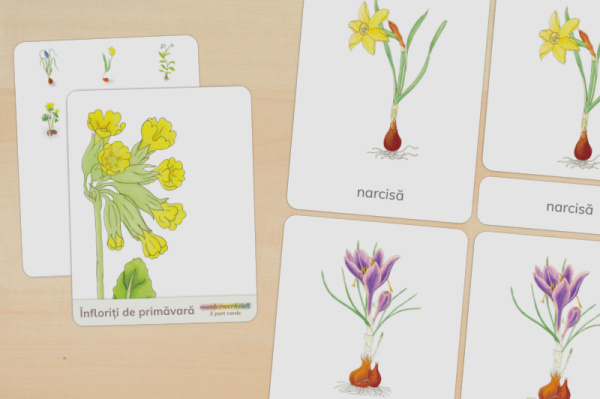 nomen_fruehblueher_rumaenisch_titel_1