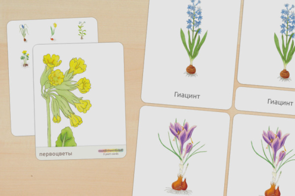 nomen_fruehblueher_russisch_titel_1