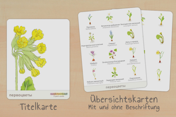 nomen_fruehblueher_russisch_titel_2