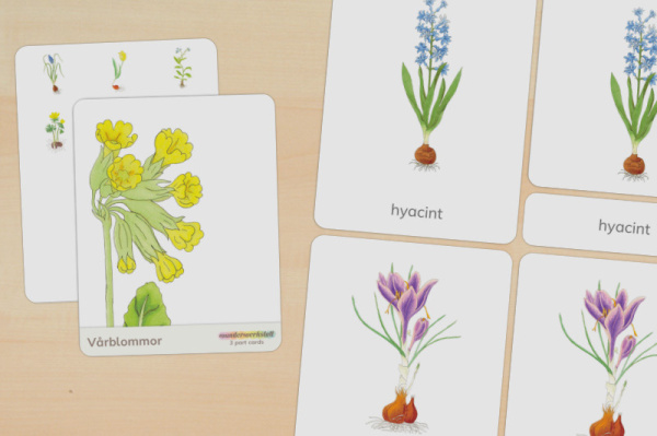 nomen_fruehblueher_schwedisch_titel_1