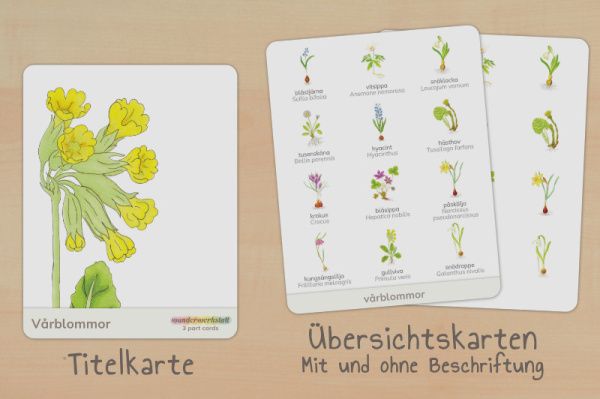 nomen_fruehblueher_schwedisch_titel_2