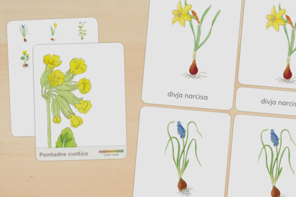 nomen_fruehblueher_slowenisch_titel_1