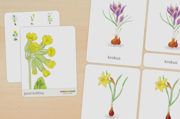 nomen_fruehblueher_tschechisch_titel_1