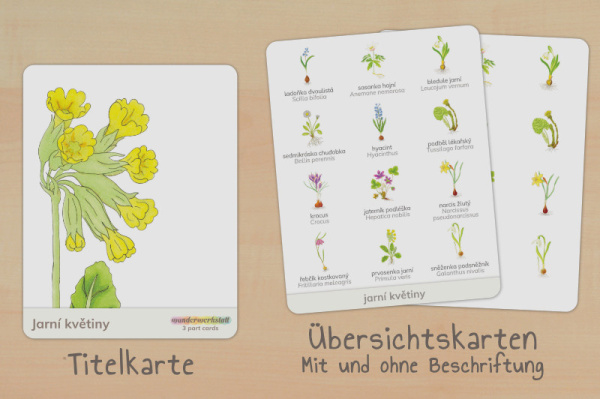 nomen_fruehblueher_tschechisch_titel_2