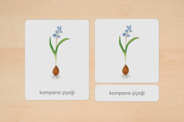 nomen_fruehblueher_tuerkisch_1