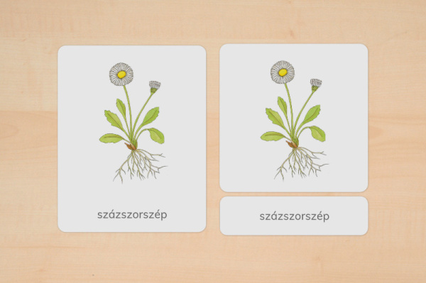 nomen_fruehblueher_ungarisch_2