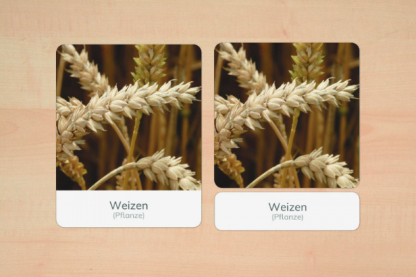 nomen_getreide_2