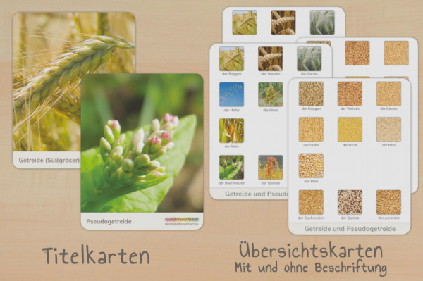 (Deutsch - Druckschrift - Download)