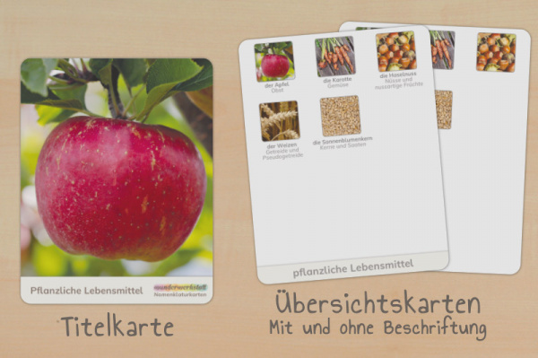 (Deutsch - Druckschrift - Download)